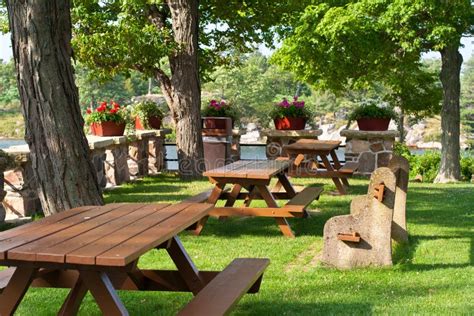 picnic area  stock image image  bench trees outdoor