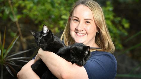 tropical qld cat clinic rehoming twin blind kittens nt news