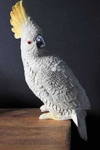 perching white cockatoo  yellow crest ornament white cockatoo