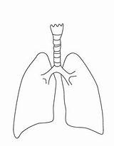 Lungs sketch template