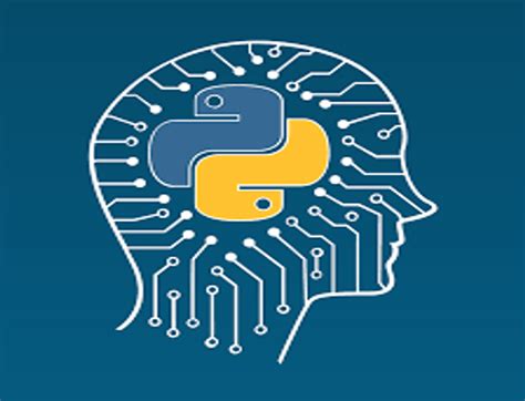 machine learning  python silicon coder