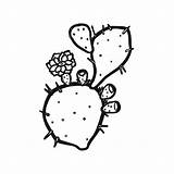 Pear Prickly Drawing Cactus Getdrawings sketch template