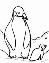 Penguin Coloring Getdrawings King sketch template