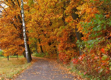 tips   healthy fall season jennifer dubowsky diplac