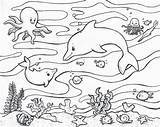 Coloring Ocean Floor Habitat Pages Getcolorings Print sketch template