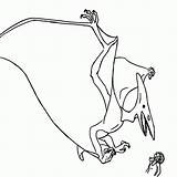 Coloring Pteranodon Pages Online Popular Library Clipart Comments Coloringhome Line sketch template