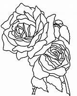 Coloring Roses Pages Rose Flower Two Single Realistic Printable Drawing Skull Mandala Stem Cross Long Bunch Color Flowers Skulls Getcolorings sketch template
