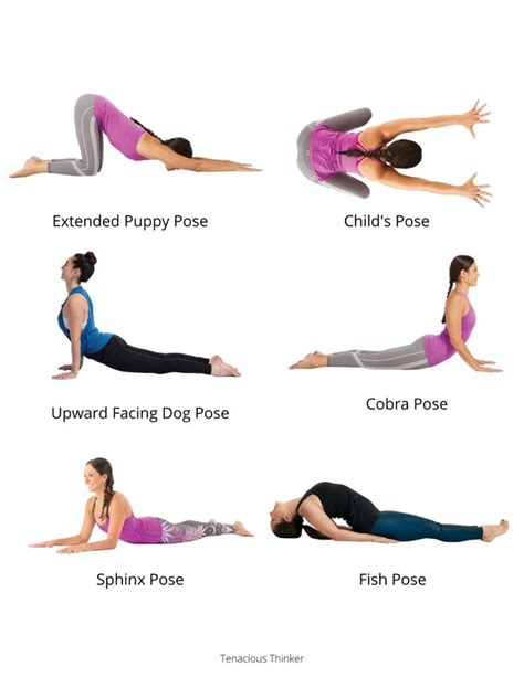 yoga pose guide  beginners en
