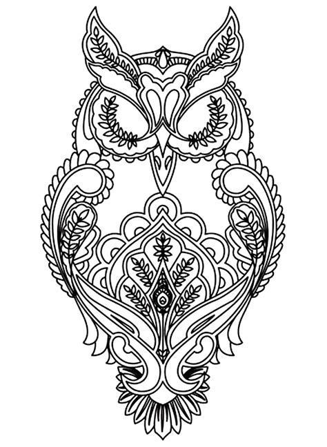owl owls adult coloring pages