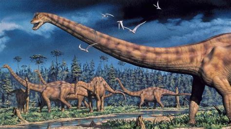 How Did Gigantic Dinosaurs Like Brachiosaurus Get It On