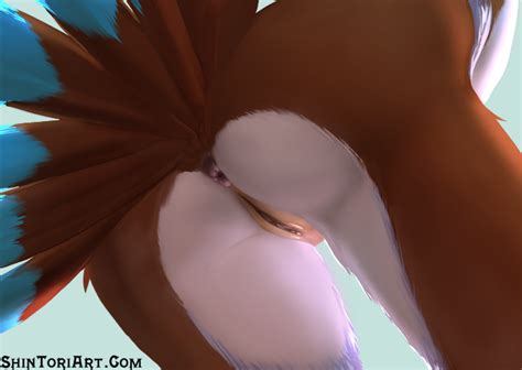 rule 34 anthro anus ass avian bird close up feathers female nude presenting presenting