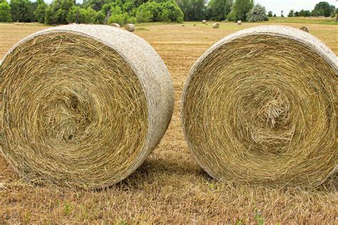 freshly baled  hay bales photograph  james bo insogna