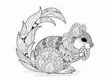 Squirrel Coloring Patterns Pages Adult Squirrels Zentangle Marmots sketch template