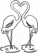 Coloring Flamingo Pages Couple Printable Drawing Colorings sketch template