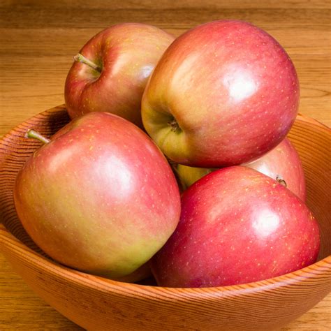 Pick Of The Week Fuji Apples Harris Farm Markets