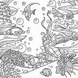 Malvorlagen Unterwasserwelt Ausmalen Ausdrucken sketch template