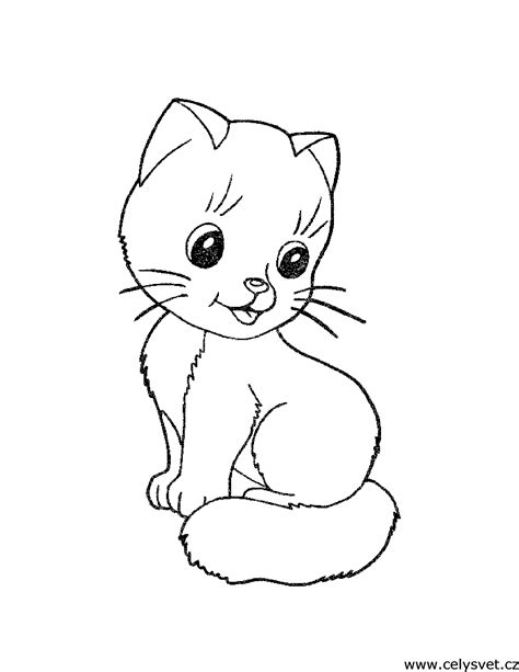 kocickagif  cat coloring page kittens coloring animal