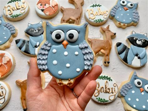 woodland owl sugar cookie  dozen etsy