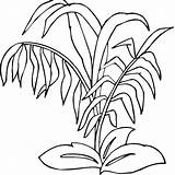 Coloring Plants Pages Rainforest Plant Jungle Drawing Ocean Sea Printable Grass Underwater Trees Getcolorings Bamboo Realistic Getdrawings Print Color Colorings sketch template