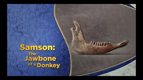 samson part   jawbone   donkey  pastor doug batchelor