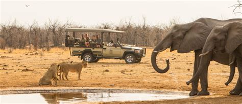10 Places To Visit In Botswana African Safari Blog