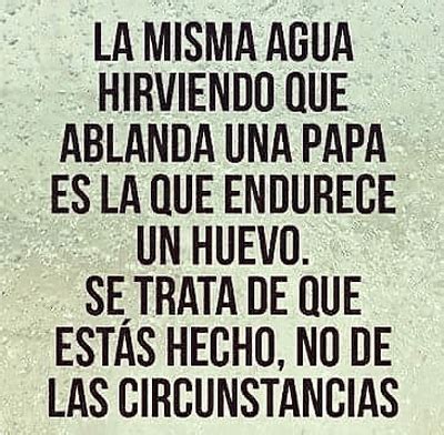 frases reflexivas cortas de la vida  te cambian