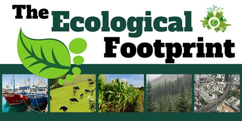 ecological footprint integrate sustainability