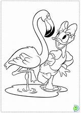 Duck Daisy Coloring Pages Dinokids Close Comments Books sketch template