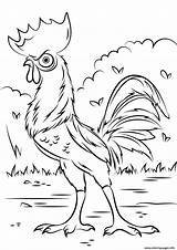 Coloring Moana Rooster Disney Heihei Pages Printable sketch template