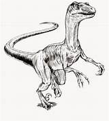Velociraptor Dinosaurio Jurassic Tee Hearthsong Feathered Supercoloring Raptor Dibujo Dinosaurios Animal Animales sketch template