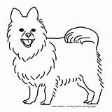 Pomeranian Coloring Pages Dog Breed Puppy Book Printable Kids Sheets Template Puppies Xyz Christmas sketch template