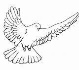 Dove Peace Coloring Holy Pages Drawing Flight Getcolorings Getdrawings Printable Designlooter sketch template