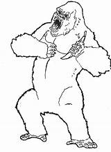 Kong King Coloring Pages Kids Printable Chest Monster Gorilla Dinosaur Famous Appears Character York First Time Visit Ann sketch template