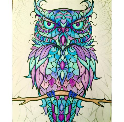 owl coloring pages  adults
