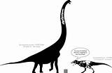 Sauroposeidon Argentinosaurus Brachiosaurus Tyrannosaurus Rex Aptian Proboards Theworldofanimals sketch template