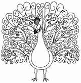 Peacock Paisley Outline Coloring Pages Drawing Getdrawings Getcolorings Peacocks Color Unusual Gates Mylar Purely Embroidery Available sketch template