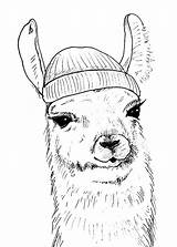 Llama Llamas sketch template