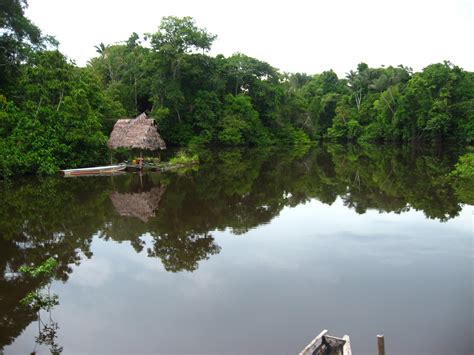 amazon rainforest peru