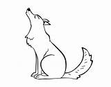 Wolf Howling Coloring Coloringcrew sketch template