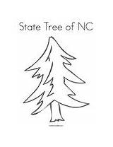 Coloring Tree Pine State Nc Color Drawing Green Line Print Trees Chicka Outline Template Twistynoodle Boom Drawn Owl Change Noodle sketch template