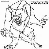 Werewolf Marvelous sketch template