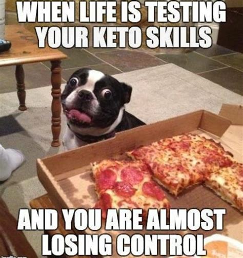 keto memes 25 funny low carb graphics jokes and puns