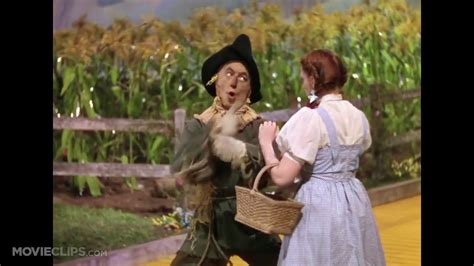 If I Only Had A Brain The Wizard Of Oz 4 8 Movie Clip 1939 Hd Youtube