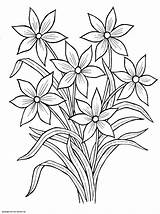Blumenstrauss Narcissus Malvorlagen Mazzo Mazzi Belli Stampare Raskrasil Designlooter Tulip sketch template