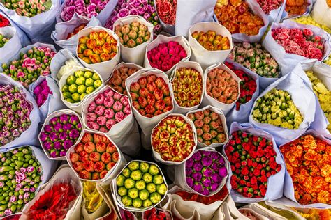 flower markets   world journeys  van dyke