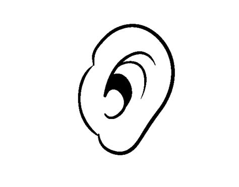 ears coloring pages   ears coloring pages png images