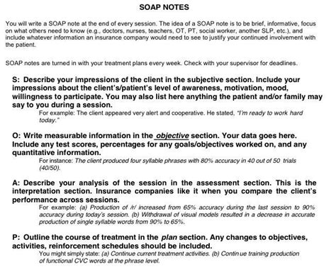 sample  format templates  social work case plan template www