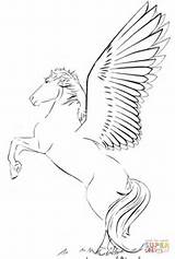 Pegasus Coloring Pages Rearing Drawing Pony Printable Unicorn Horse Bible Online Color Colouring sketch template