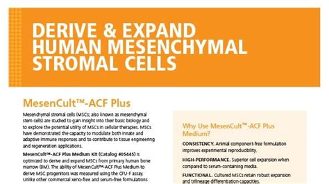 mesencult™ acf plus medium for human msc culture stemcell technologies