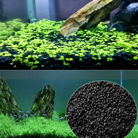 home aquarium soil  freshwater aquarium float grass clay substrate